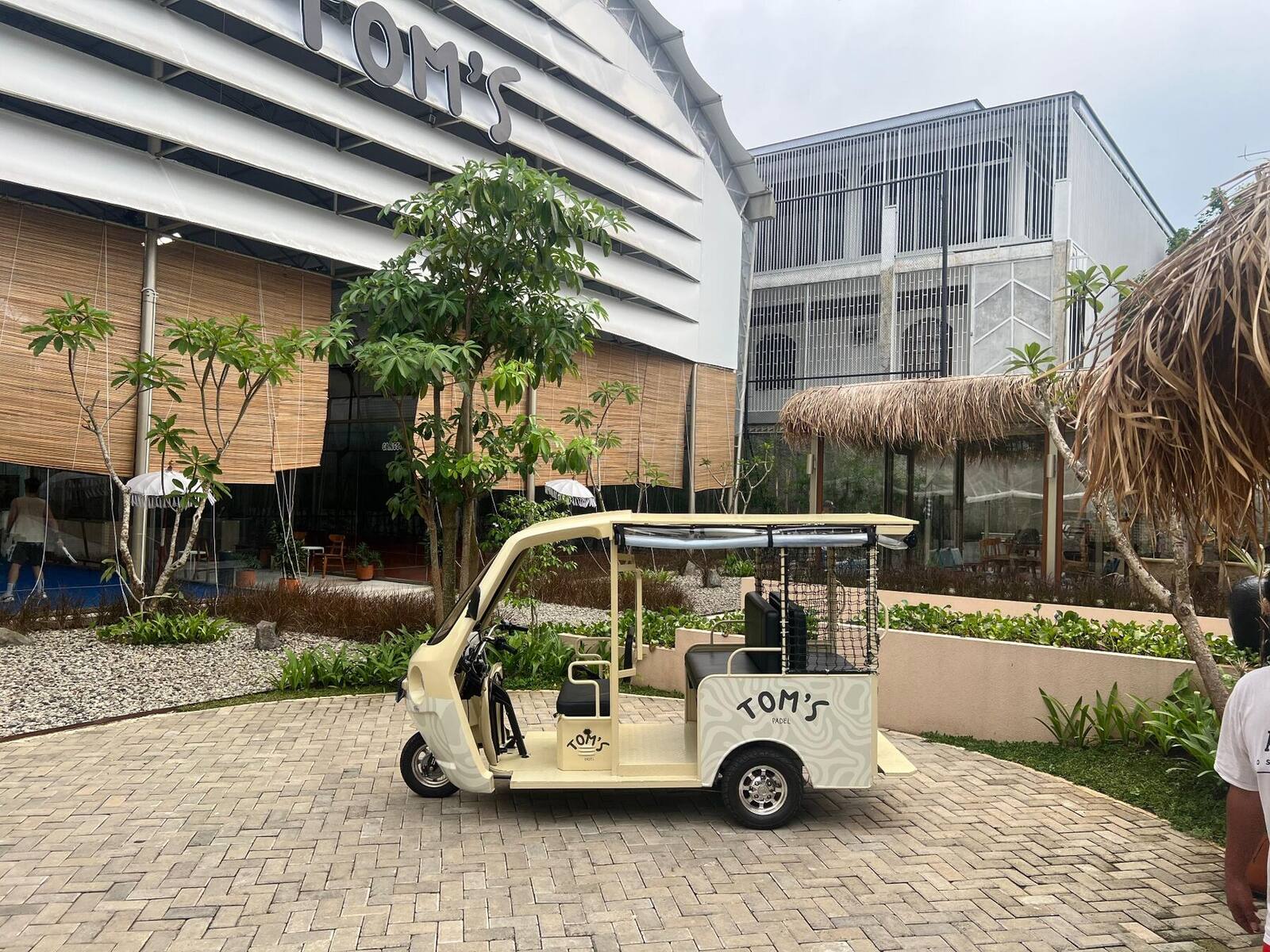 TOM'S buggy